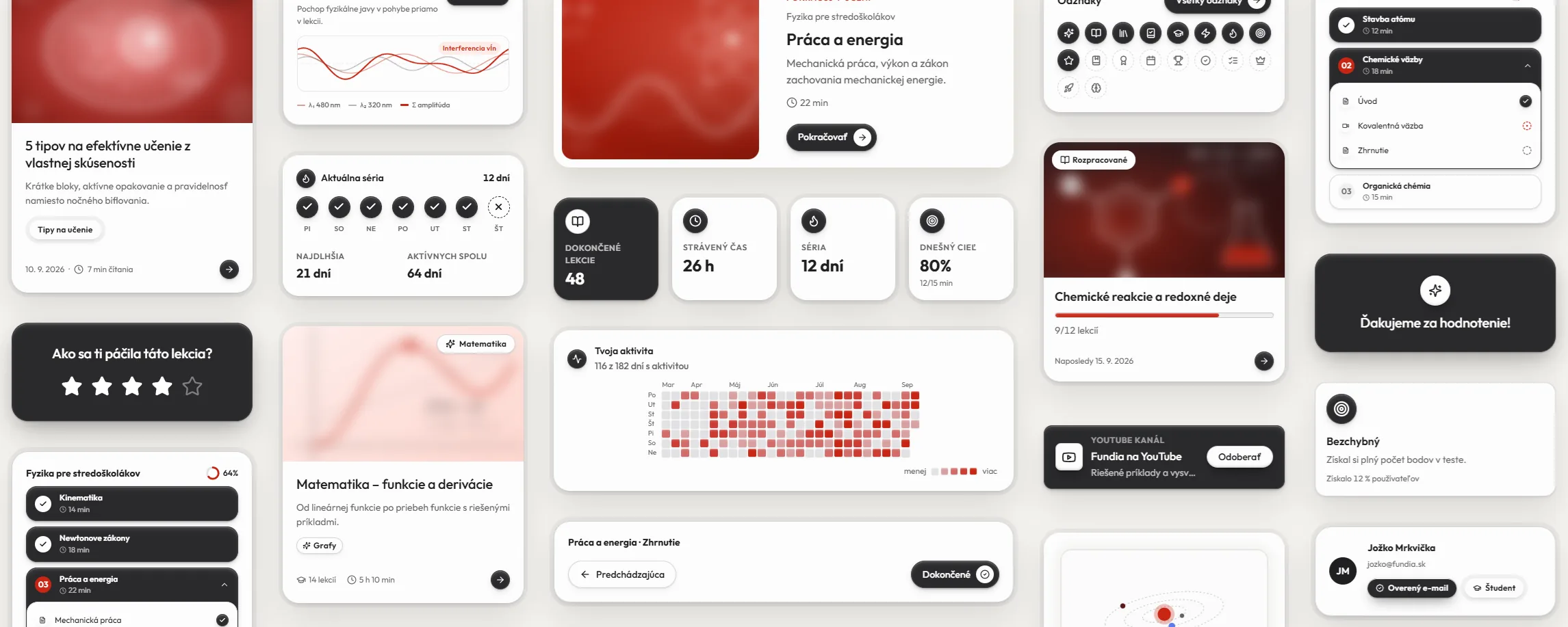 Overview of the Fundia interface: lessons, progress, badges and ratings